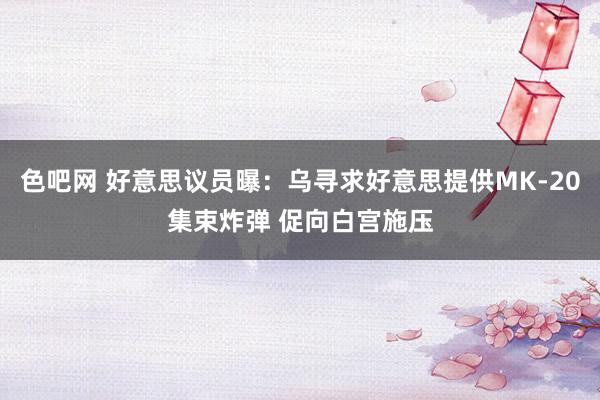 色吧网 好意思议员曝：乌寻求好意思提供MK-20集束炸弹 促向白宫施压