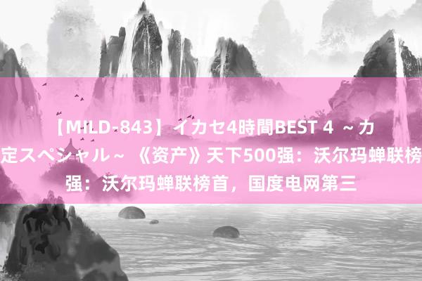 【MILD-843】イカセ4時間BEST 4 ～カリスマアイドル限定スペシャル～ 《资产》天下500强：沃尔玛蝉联榜首，国度电网第三