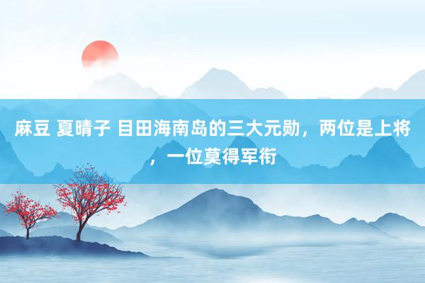 麻豆 夏晴子 目田海南岛的三大元勋，两位是上将，一位莫得军衔