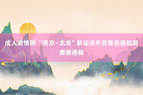 成人激情网 “南京—北非”新远洋外贸集装箱航路肃穆通畅