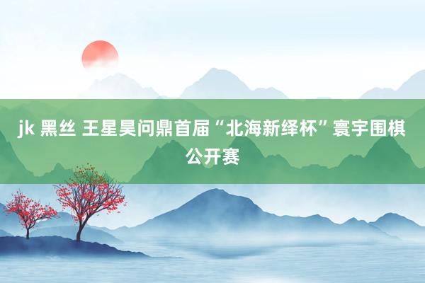 jk 黑丝 王星昊问鼎首届“北海新绎杯”寰宇围棋公开赛