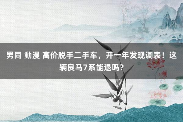 男同 動漫 高价脱手二手车，开一年发现调表！这辆良马7系能退吗？