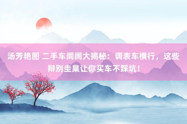 汤芳艳图 二手车阛阓大揭秘：调表车横行，这些辩别圭臬让你买车不踩坑！