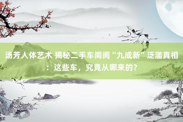 汤芳人体艺术 揭秘二手车阛阓“九成新”泛滥真相：这些车，究竟从哪来的？