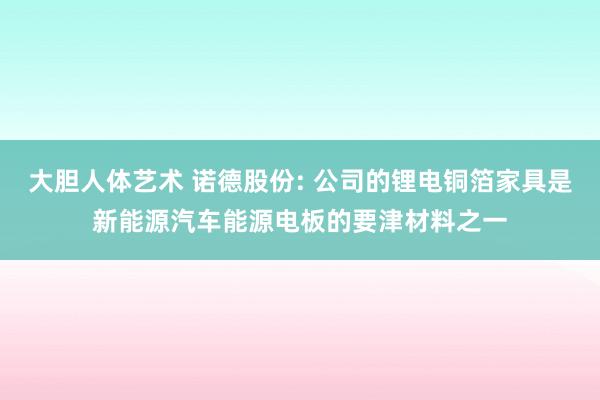 大胆人体艺术 诺德股份: 公司的锂电铜箔家具是新能源汽车能源电板的要津材料之一