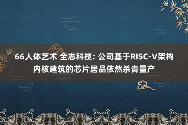 66人体艺术 全志科技: 公司基于RISC-V架构内核建筑的芯片居品依然杀青量产