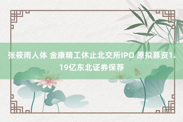 张筱雨人体 金康精工休止北交所IPO 原拟募资1.19亿东北证券保荐