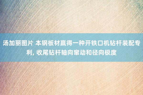 汤加丽图片 本钢板材赢得一种开铁口机钻杆装配专利, 收尾钻杆轴向窜动和径向极度