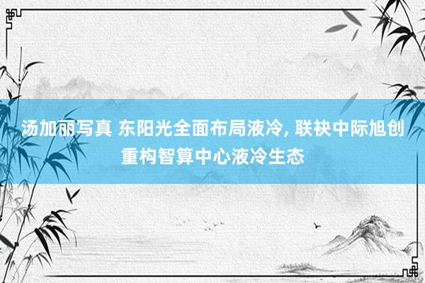 汤加丽写真 东阳光全面布局液冷, 联袂中际旭创重构智算中心液冷生态