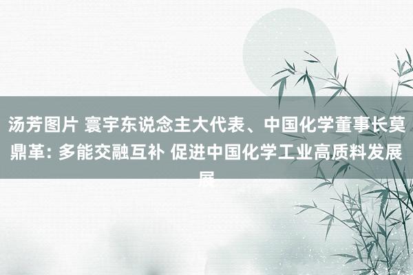 汤芳图片 寰宇东说念主大代表、中国化学董事长莫鼎革: 多能交融互补 促进中国化学工业高质料发展