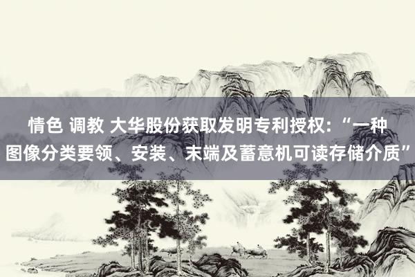 情色 调教 大华股份获取发明专利授权: “一种图像分类要领、安装、末端及蓄意机可读存储介质”