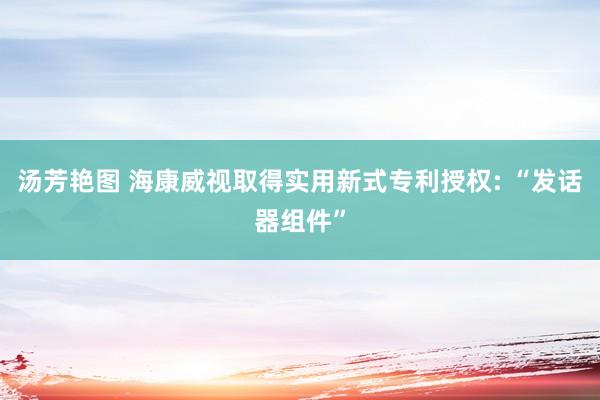 汤芳艳图 海康威视取得实用新式专利授权: “发话器组件”