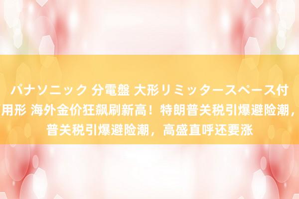 パナソニック 分電盤 大形リミッタースペース付 露出・半埋込両用形 海外金价狂飙刷新高！特朗普关税引爆避险潮，高盛直呼还要涨