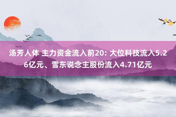 汤芳人体 主力资金流入前20: 大位科技流入5.26亿元、雪东说念主股份流入4.71亿元
