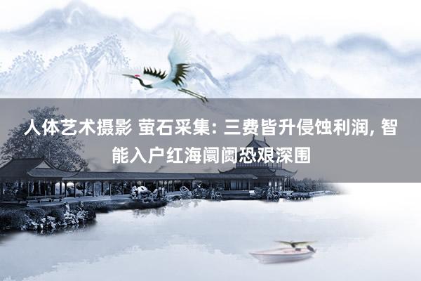 人体艺术摄影 萤石采集: 三费皆升侵蚀利润, 智能入户红海阛阓恐艰深围
