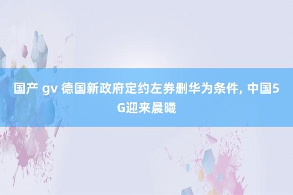 国产 gv 德国新政府定约左券删华为条件, 中国5G迎来晨曦