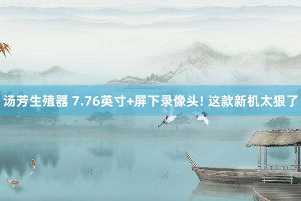 汤芳生殖器 7.76英寸+屏下录像头! 这款新机太狠了