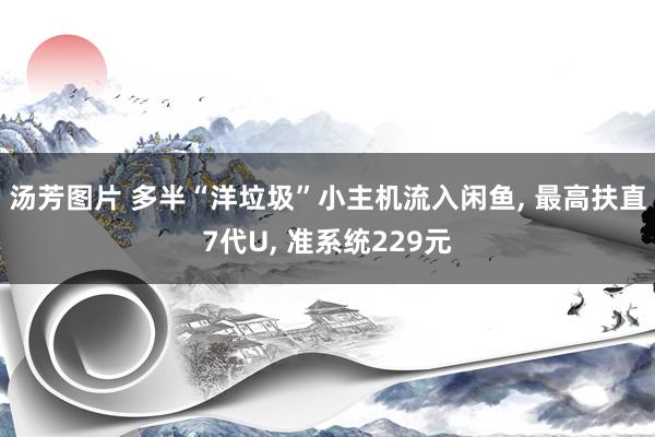 汤芳图片 多半“洋垃圾”小主机流入闲鱼, 最高扶直7代U, 准系统229元