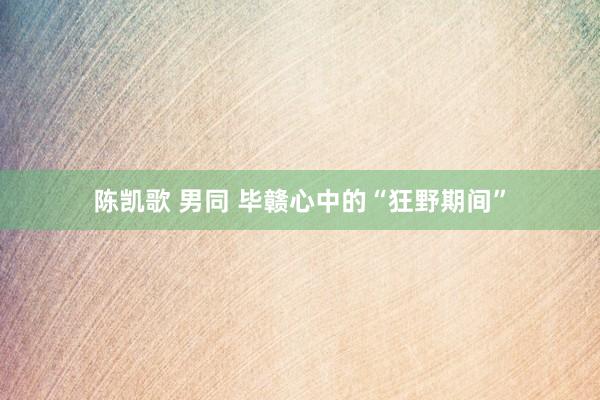 陈凯歌 男同 毕赣心中的“狂野期间”