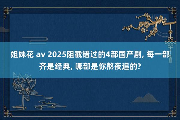 姐妹花 av 2025阻截错过的4部国产剧, 每一部齐是经典, 哪部是你熬夜追的?