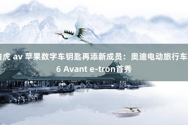 白虎 av 苹果数字车钥匙再添新成员：奥迪电动旅行车A6 Avant e-tron首秀