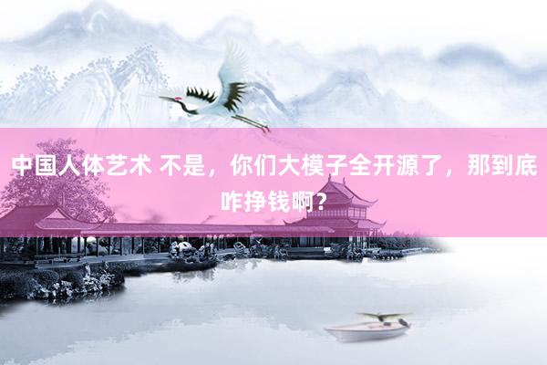 中国人体艺术 不是，你们大模子全开源了，那到底咋挣钱啊？