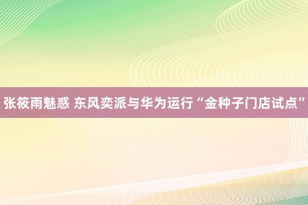 张筱雨魅惑 东风奕派与华为运行“金种子门店试点”