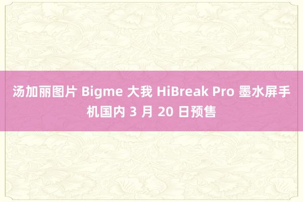 汤加丽图片 Bigme 大我 HiBreak Pro 墨水屏手机国内 3 月 20 日预售