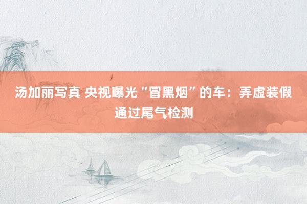 汤加丽写真 央视曝光“冒黑烟”的车：弄虚装假通过尾气检测