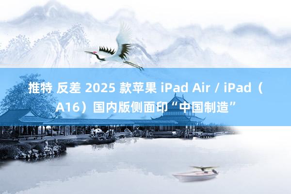 推特 反差 2025 款苹果 iPad Air / iPad（A16）国内版侧面印“中国制造”