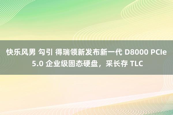 快乐风男 勾引 得瑞领新发布新一代 D8000 PCIe 5.0 企业级固态硬盘，采长存 TLC